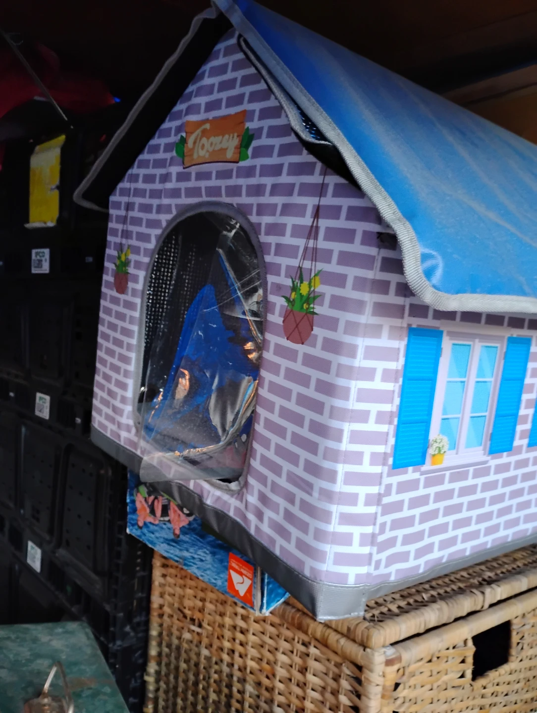 Toozey Play Tent