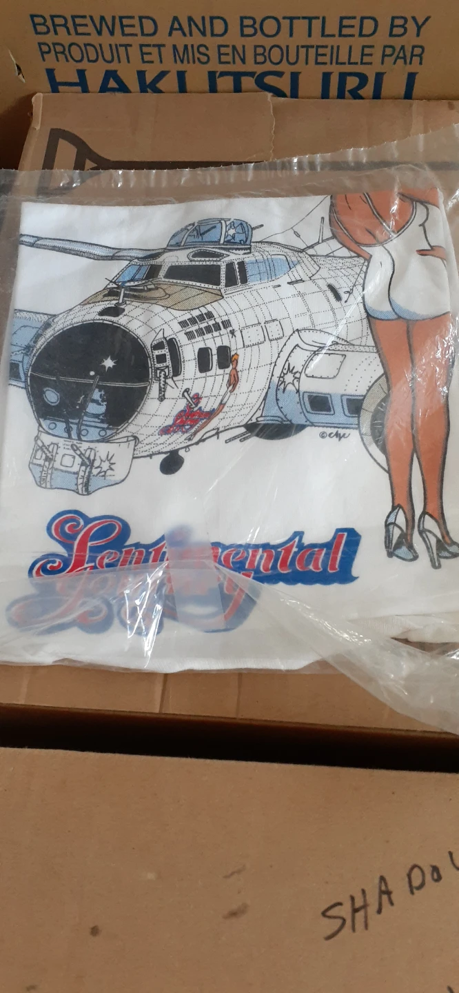 Vintage Arizona Wing CAF Ghost Squadron T-Shirt