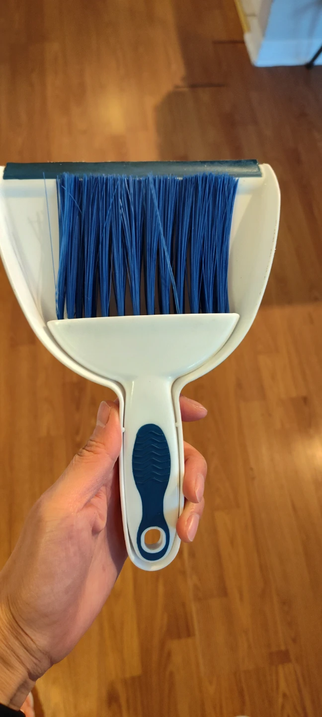 Mini Dustpan and Brush Set