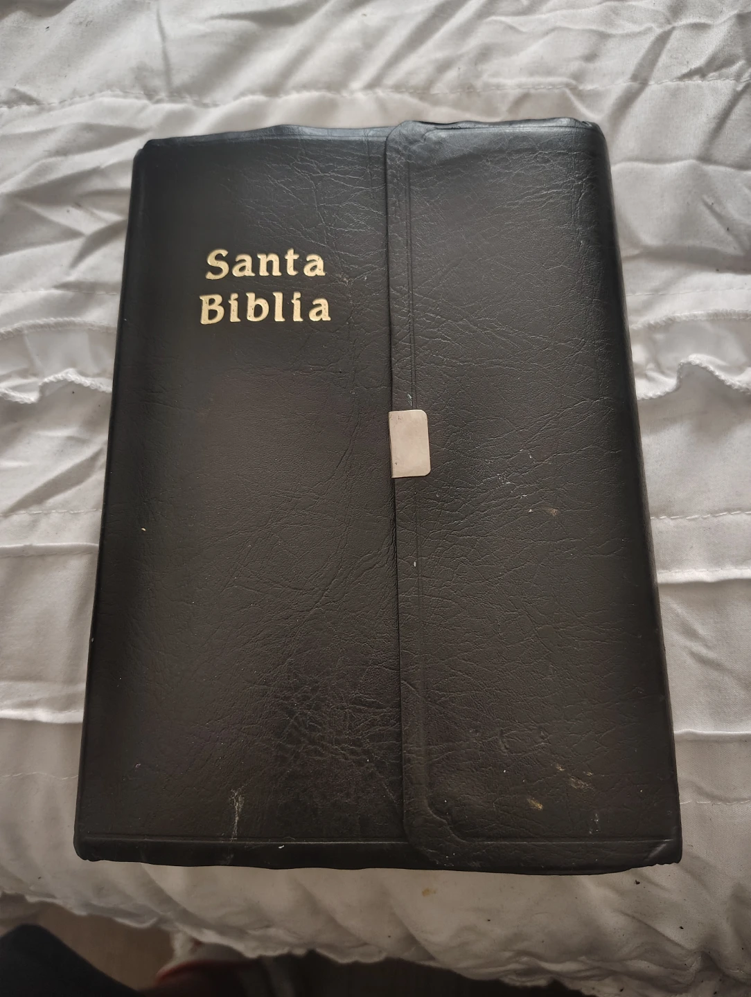 Santa Biblia Hardcover