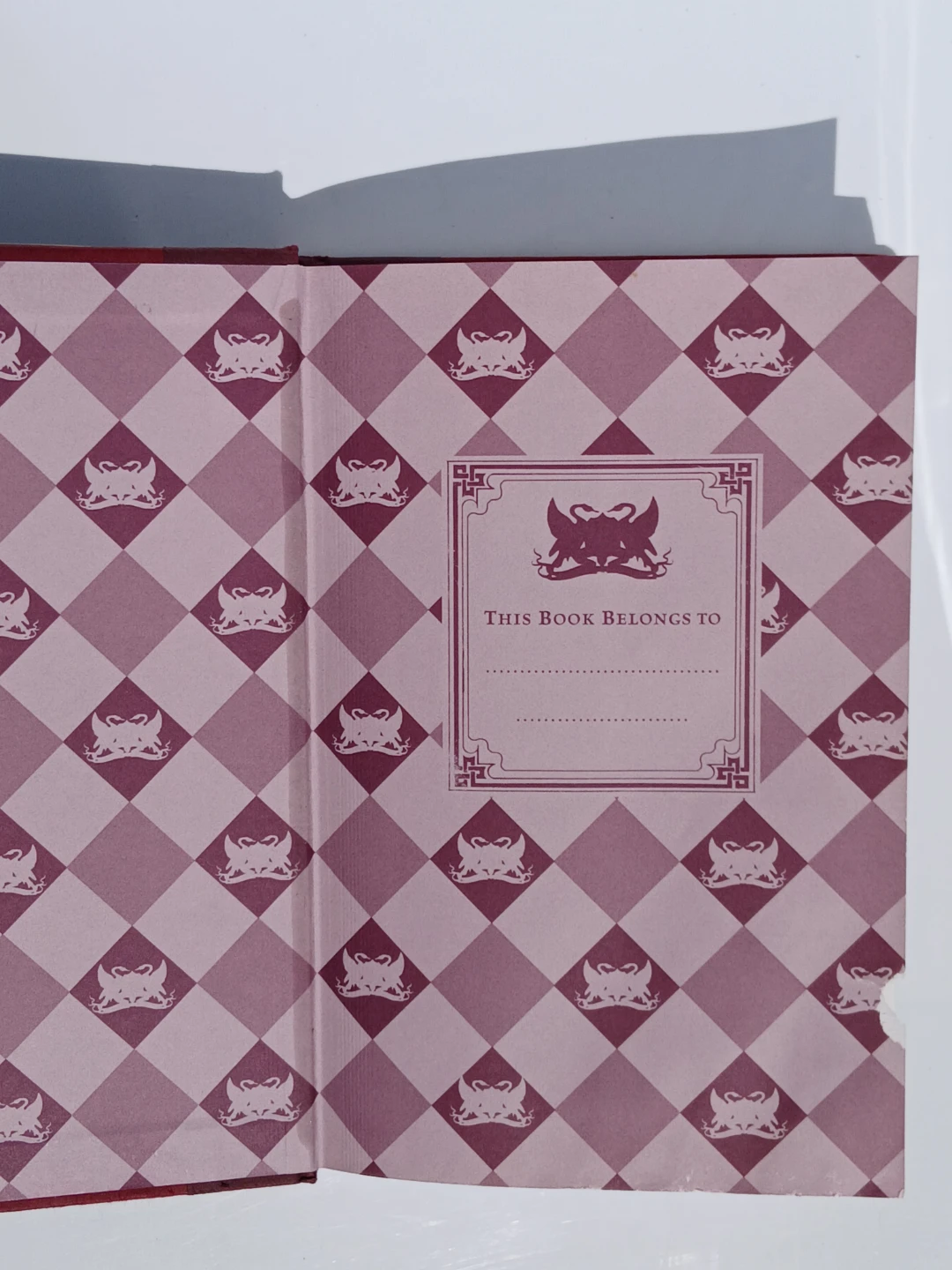 The School for Good and Evil Books 1–5 + The Ever Never Handbook - photo 5
