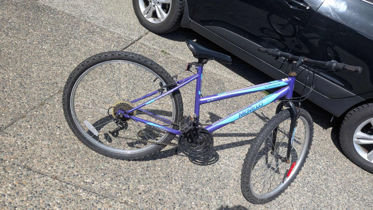 Movelo Mountain Bike - Purple - photo 4