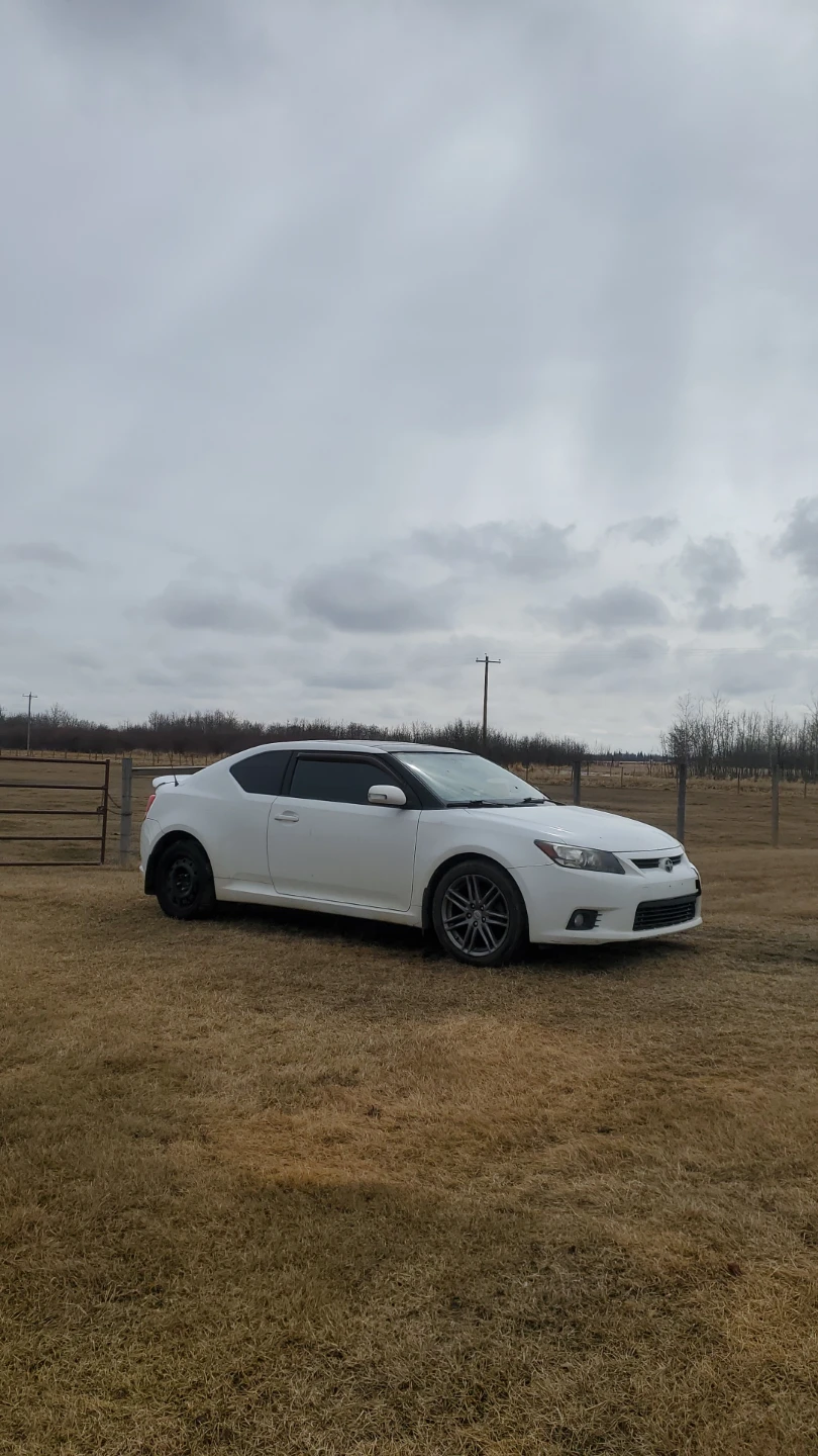 2013 Scion TC Manual – Runs Great – Priced for Cosmetic Damage