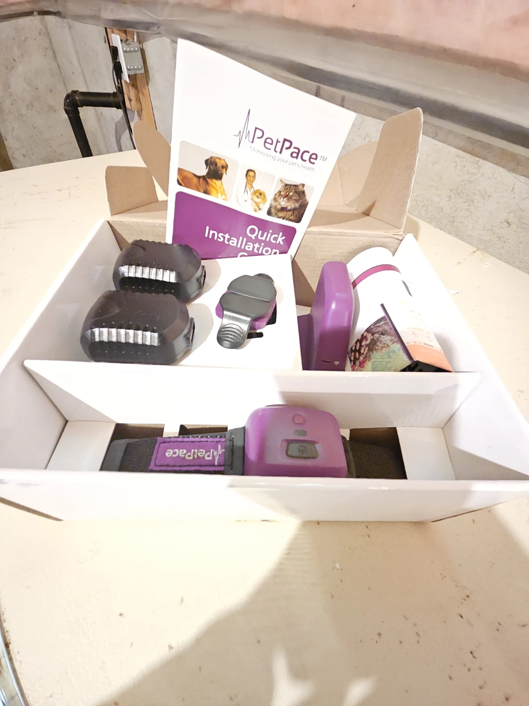 PetPace Medium Collar and Gateway Pet Health Monitoring System
