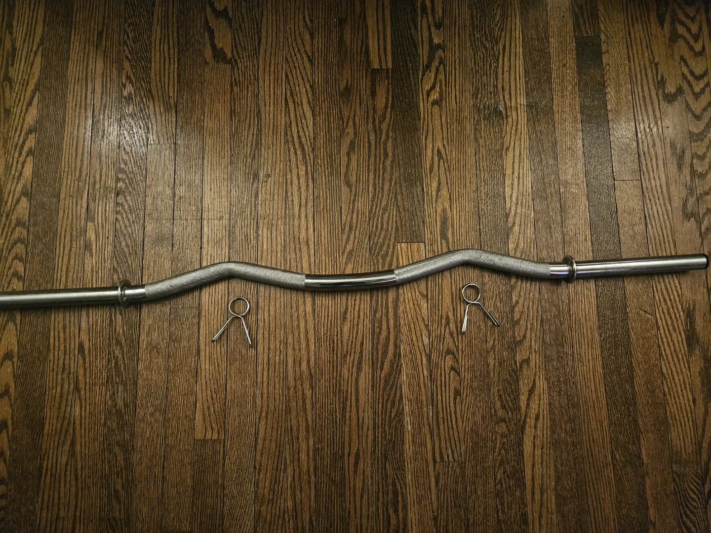 Curl Bar with Spring Collars