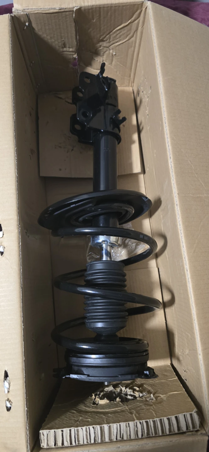 DETROIT AXLE Front Left Strut Assembly