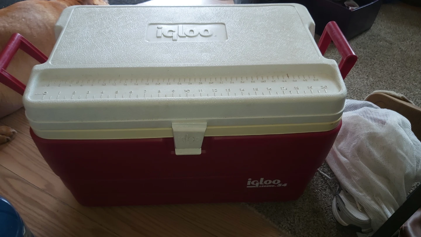 Igloo Legend 54 Cooler