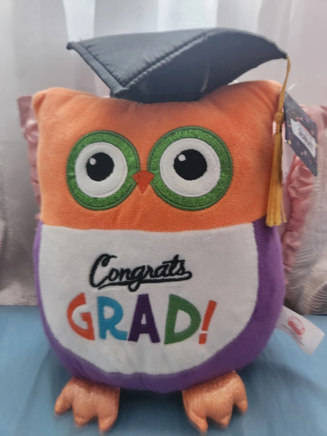 Graduation Owl Plush Toy