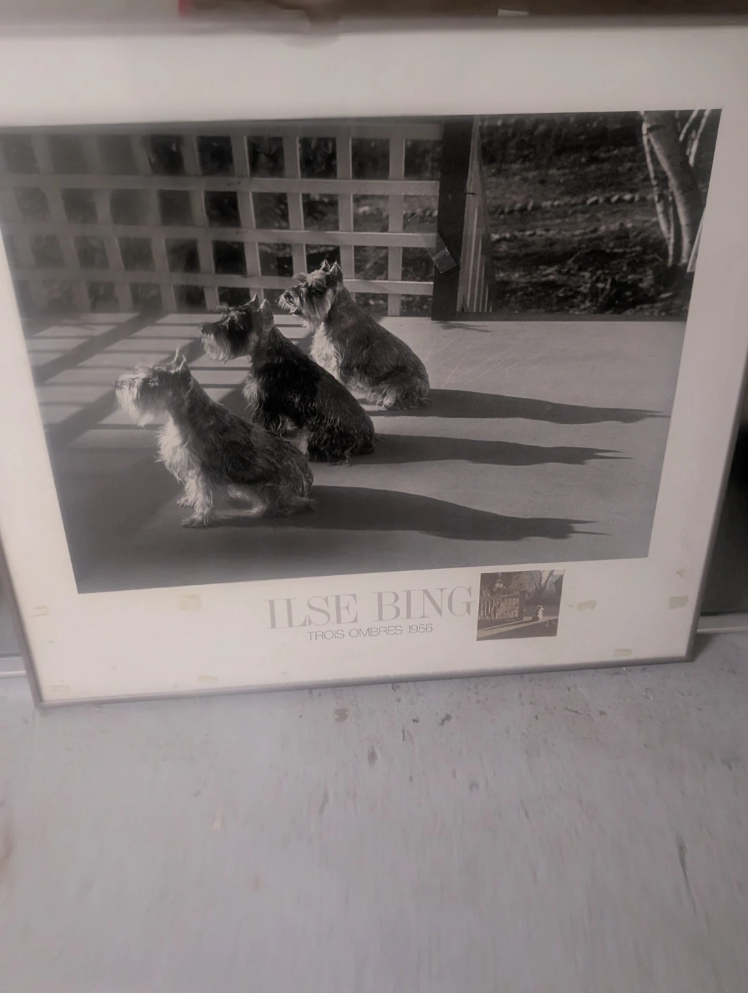 Pictures Fram - photo 3