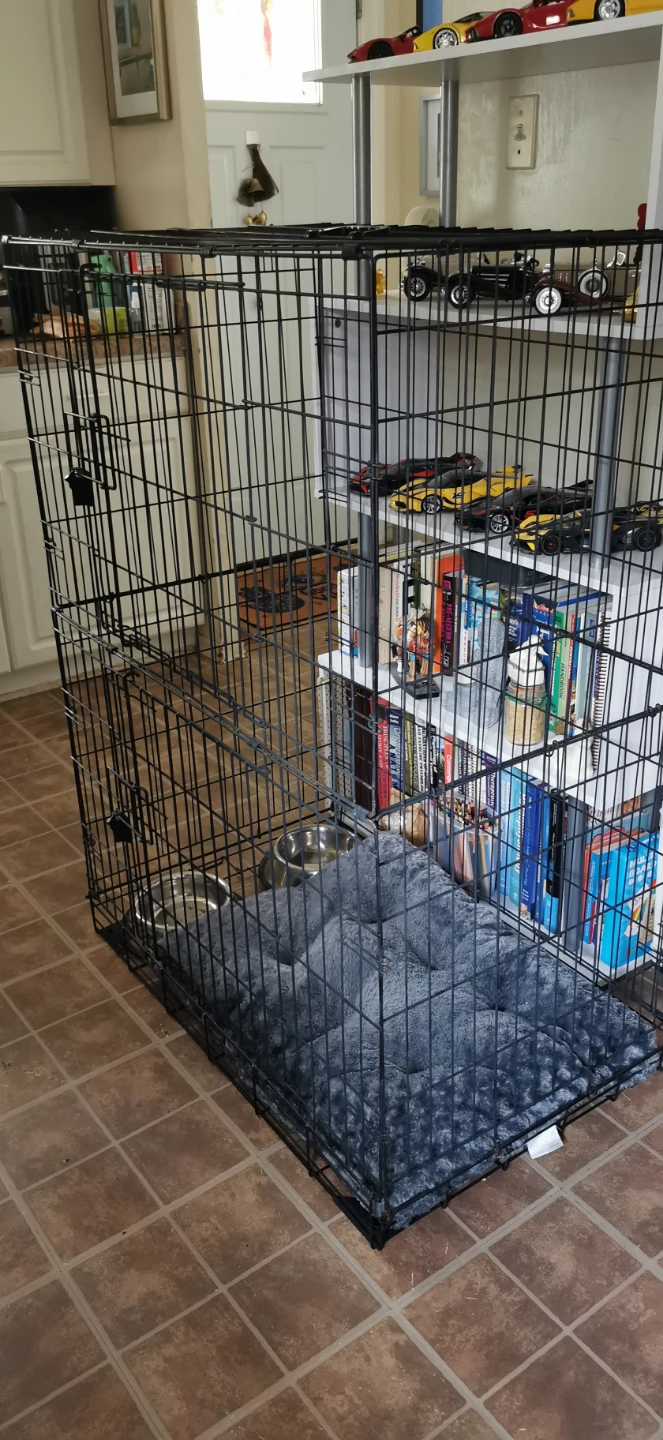 LARGE 48" L Wire Dog Crate with Pet Bed and Bowls