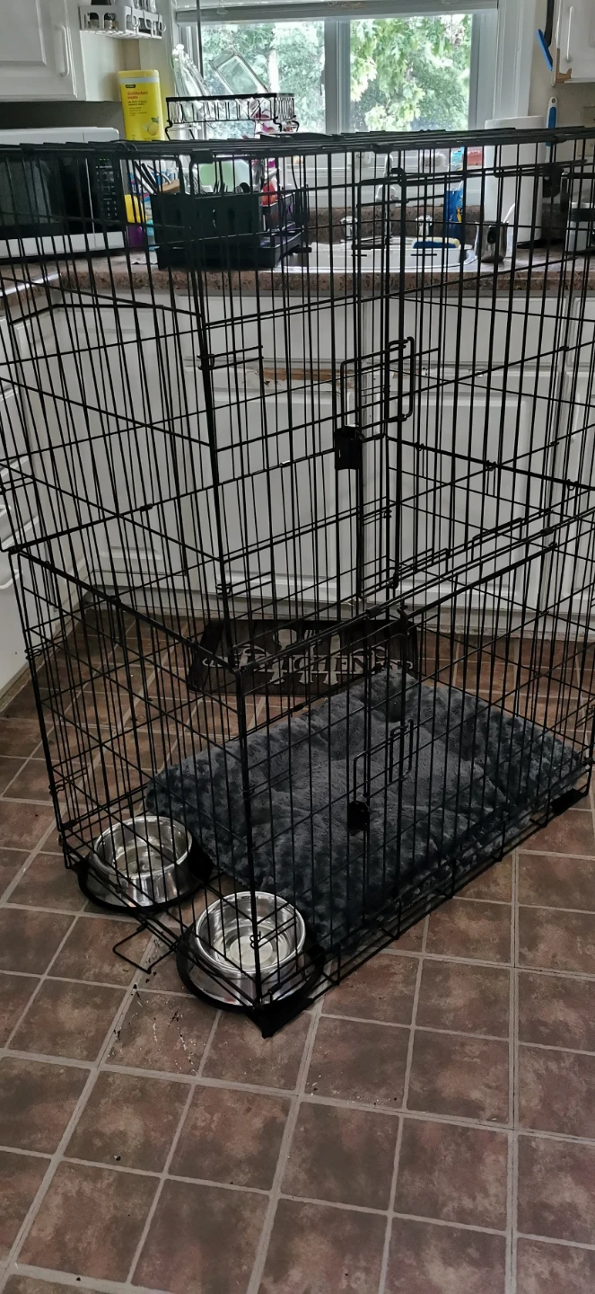LARGE 48" L Wire Dog Crate with Pet Bed and Bowls - photo 3