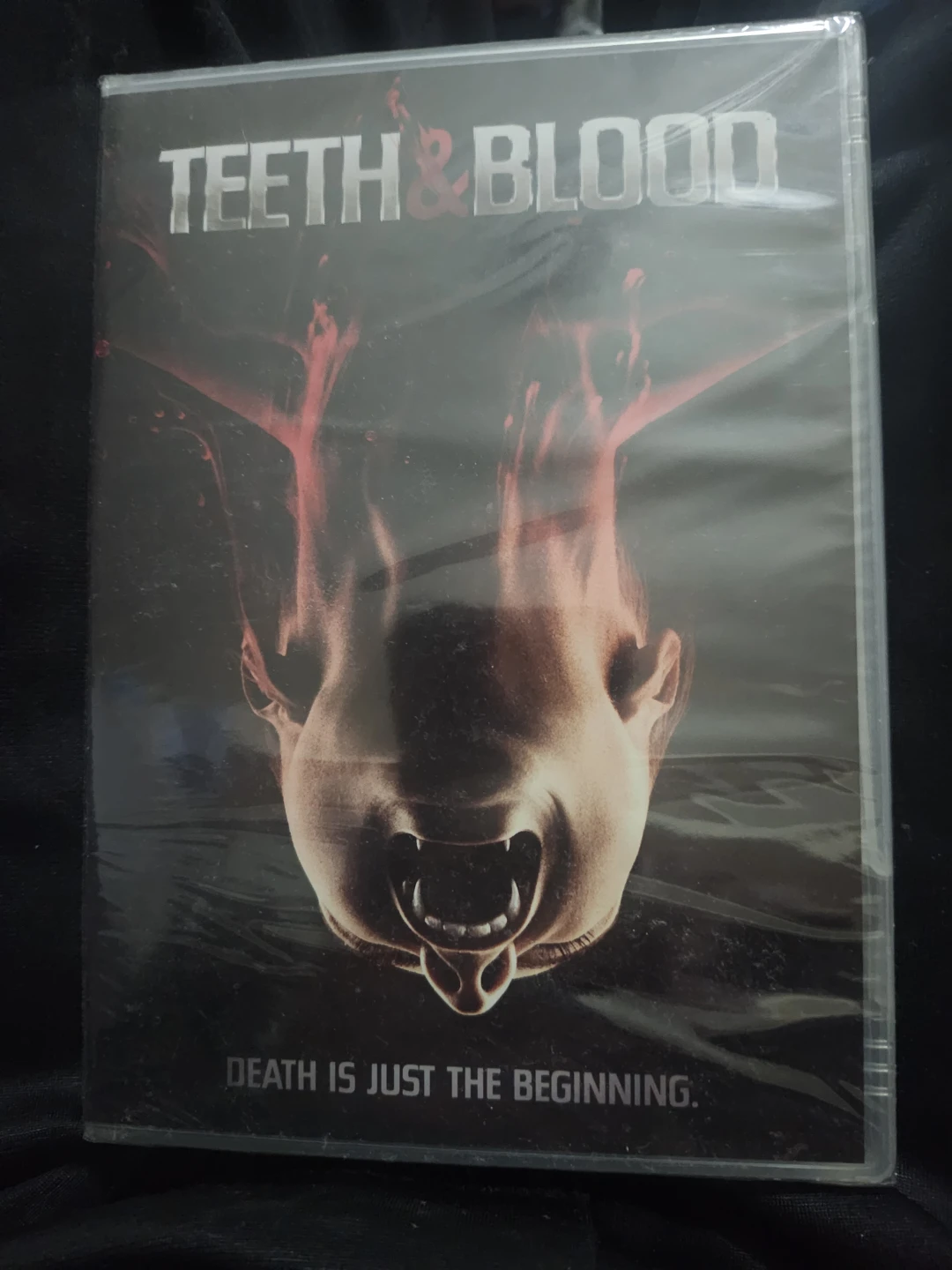 Teeth & Blood DVD