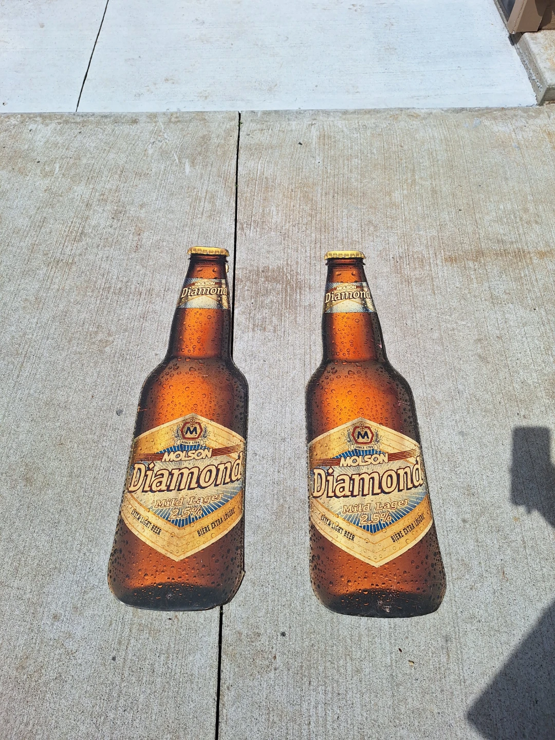 Molson Lager Beer Bottles Signs