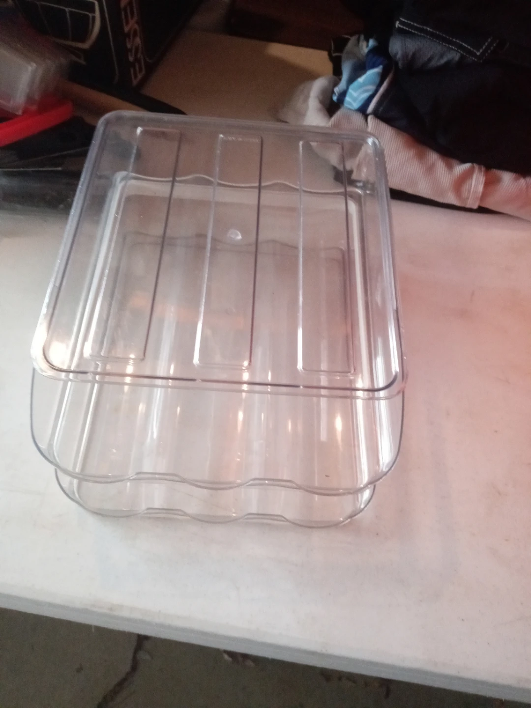 Clear Plastic Egg Storage Container with Lid