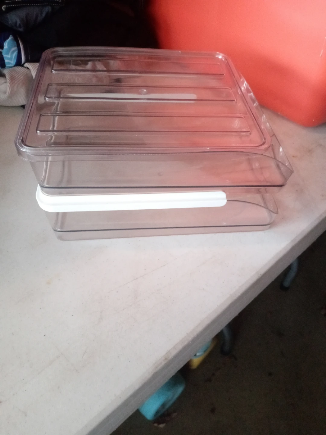 Clear Plastic Egg Storage Container with Lid - photo 3
