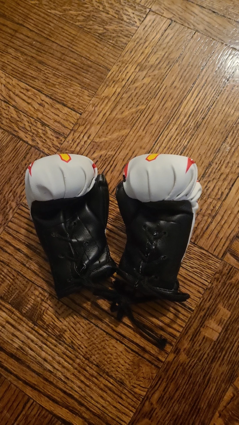 Newfoundland Mini Boxing Gloves 🌱 - photo 4