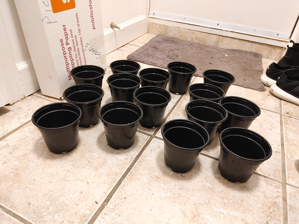 Set of 15 Black Small Plastic Plant Pots all for $5 - photo 2