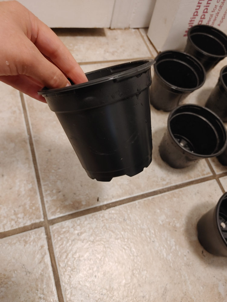 Set of 15 Black Small Plastic Plant Pots all for $5 - photo 3