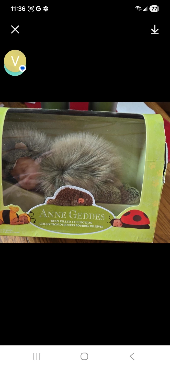 Anne Geddes Bean Filled Collection Doll