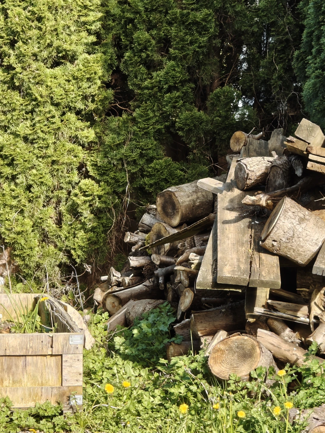 Firewood for sale - photo 2
