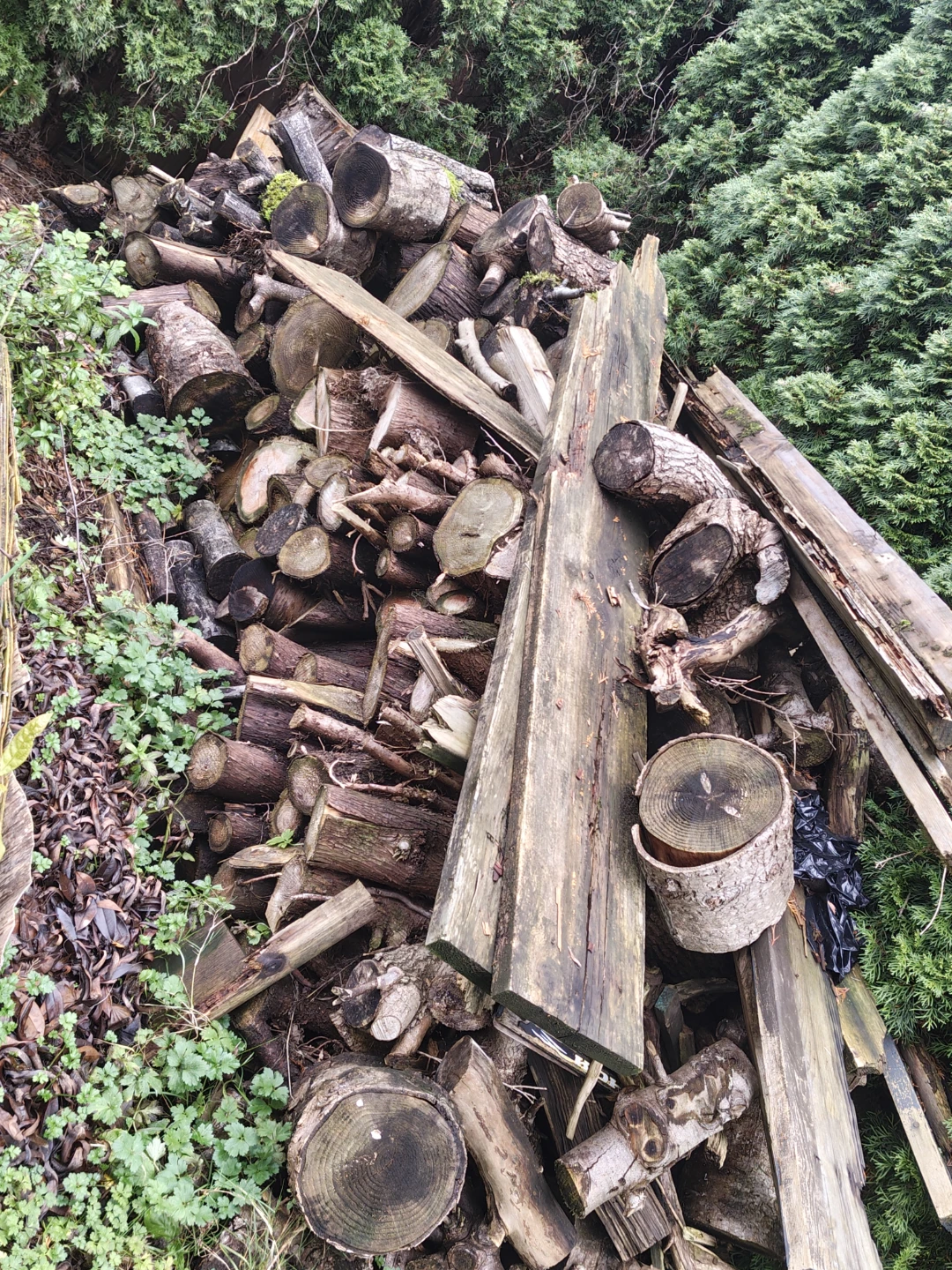 Firewood for sale - photo 3