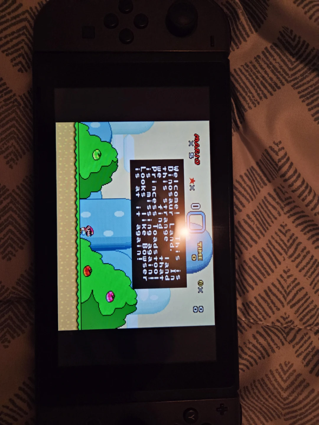 Nintendo Switch + Games - photo 4