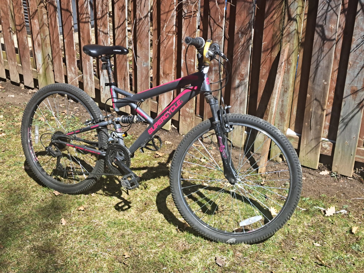 Mountain bike