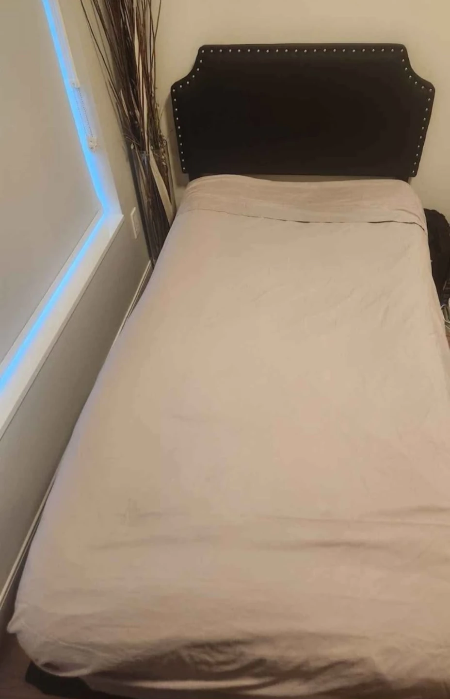 2 Twin bed frames