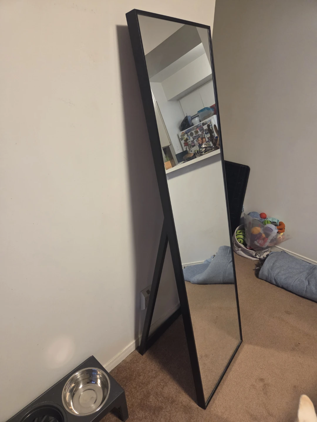 Black Standing Full Length Mirror - photo 2