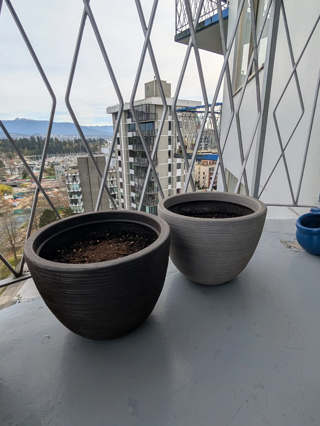 4 Grey Plastic Plant Pots w/Soil