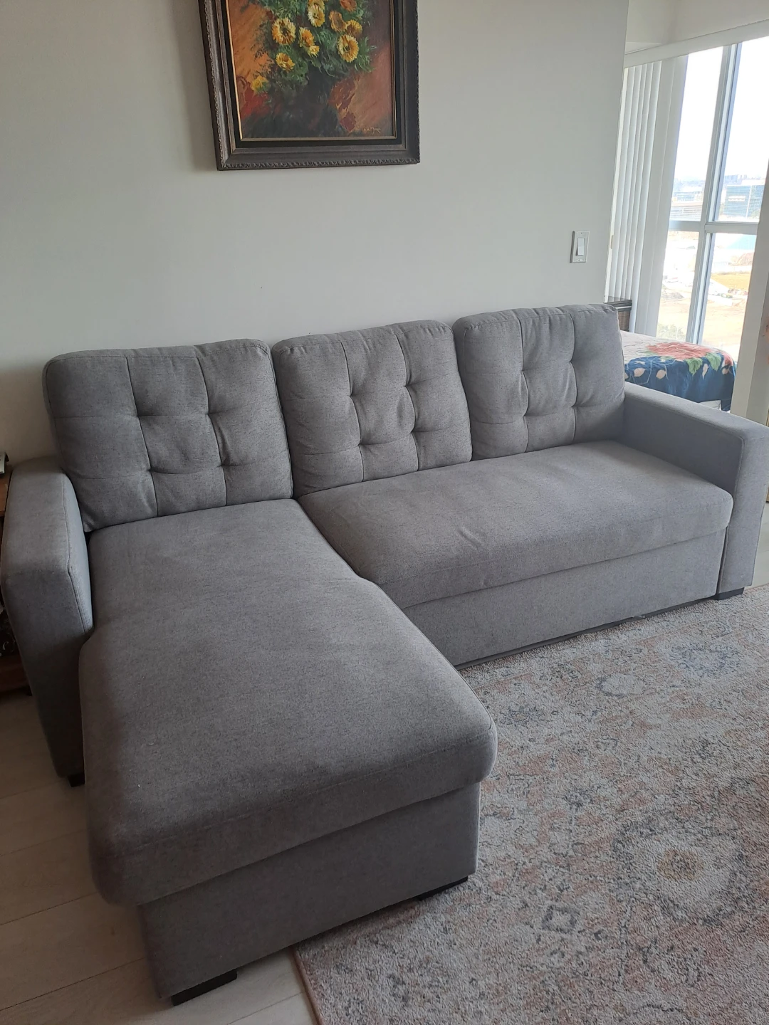Sectional  sofa bed