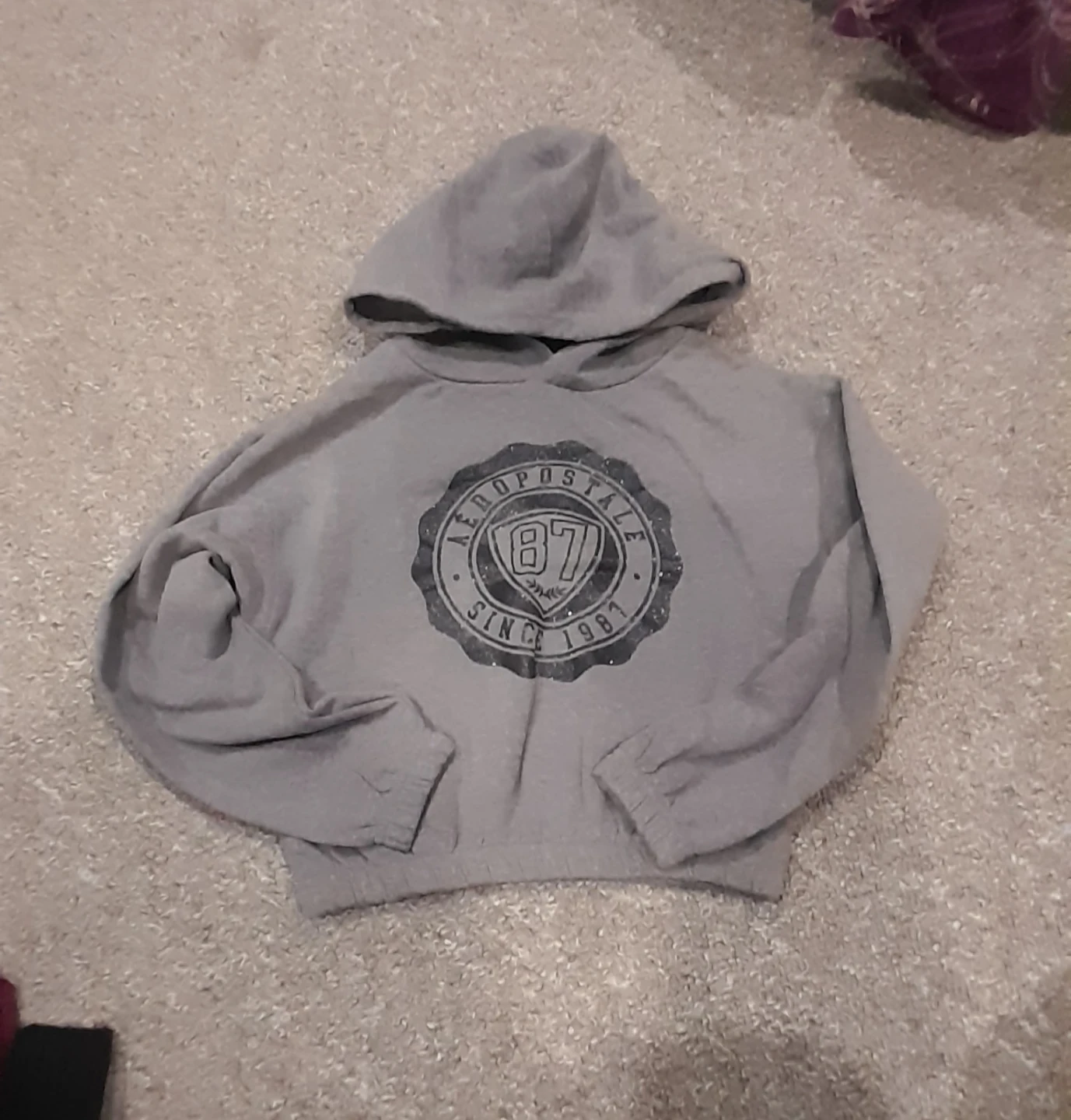 GAP Hoodie and winter jacket bundlee
