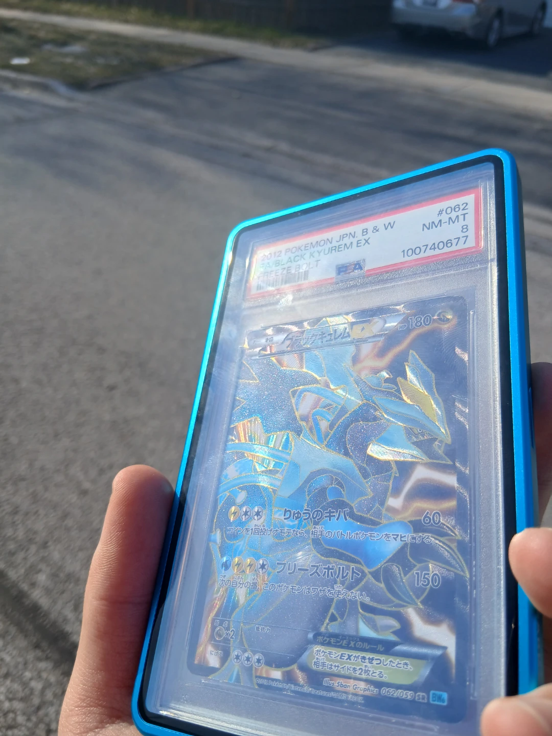 2012 Pokemon JPN B&W FA/Black Kyurem EX Freeze Bolt PSA 8 NM-MT