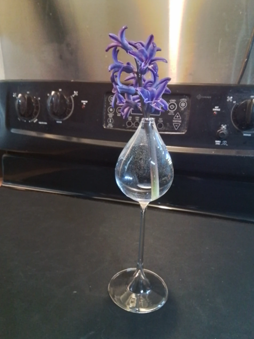9x3" Tear-Drop Shaped Glass Design  Vase