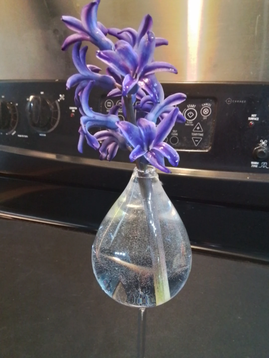 9x3" Tear-Drop Shaped Glass Design  Vase - photo 2