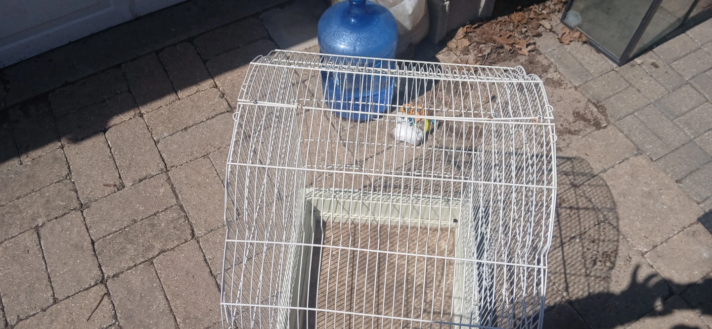 White Wire Bird Cage with Plastic Base - photo 2