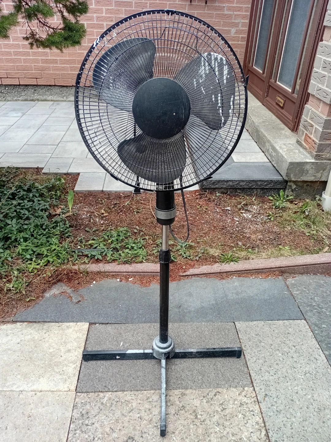 Black oscillating stand fan
