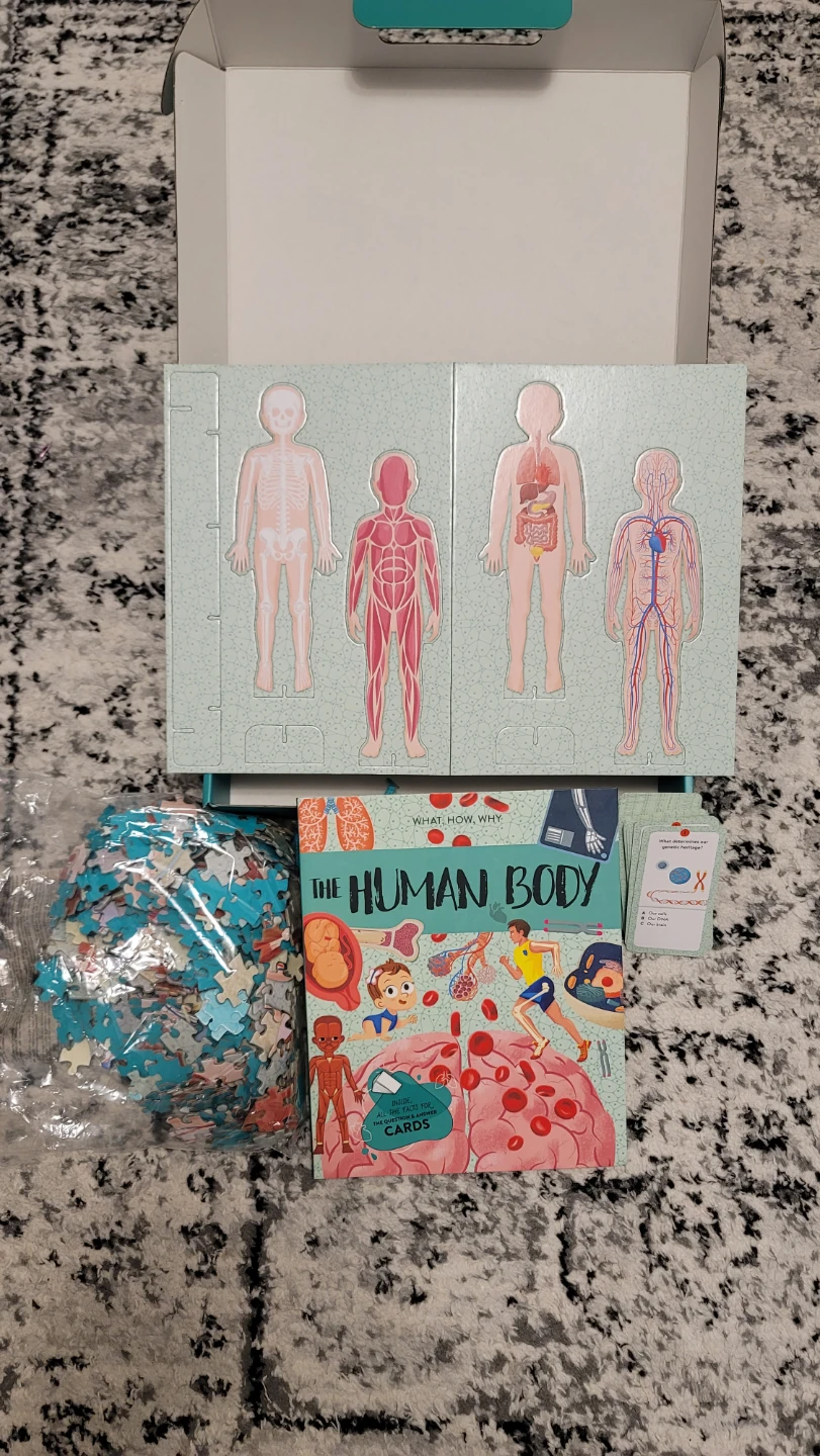 Sassi Human Body: The Ultimate Atlas