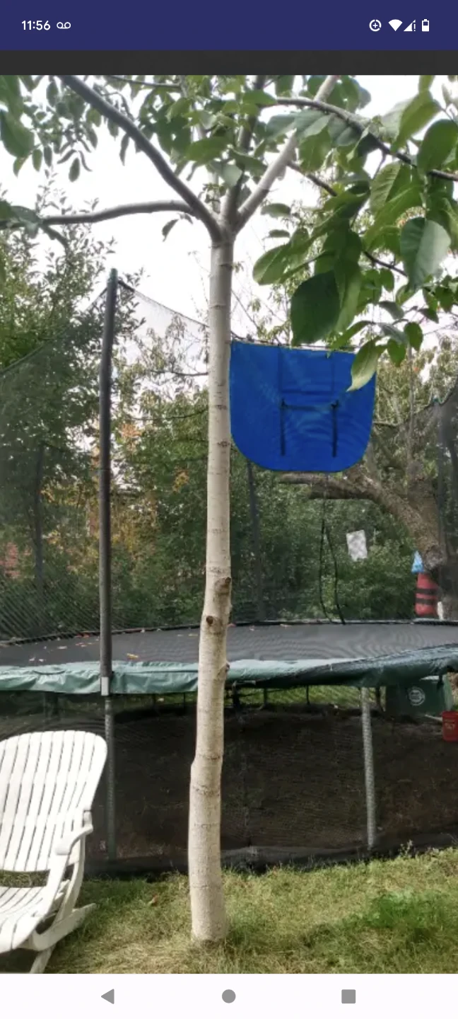 Extra Large15 feet Trampoline with Safety Net - photo 2