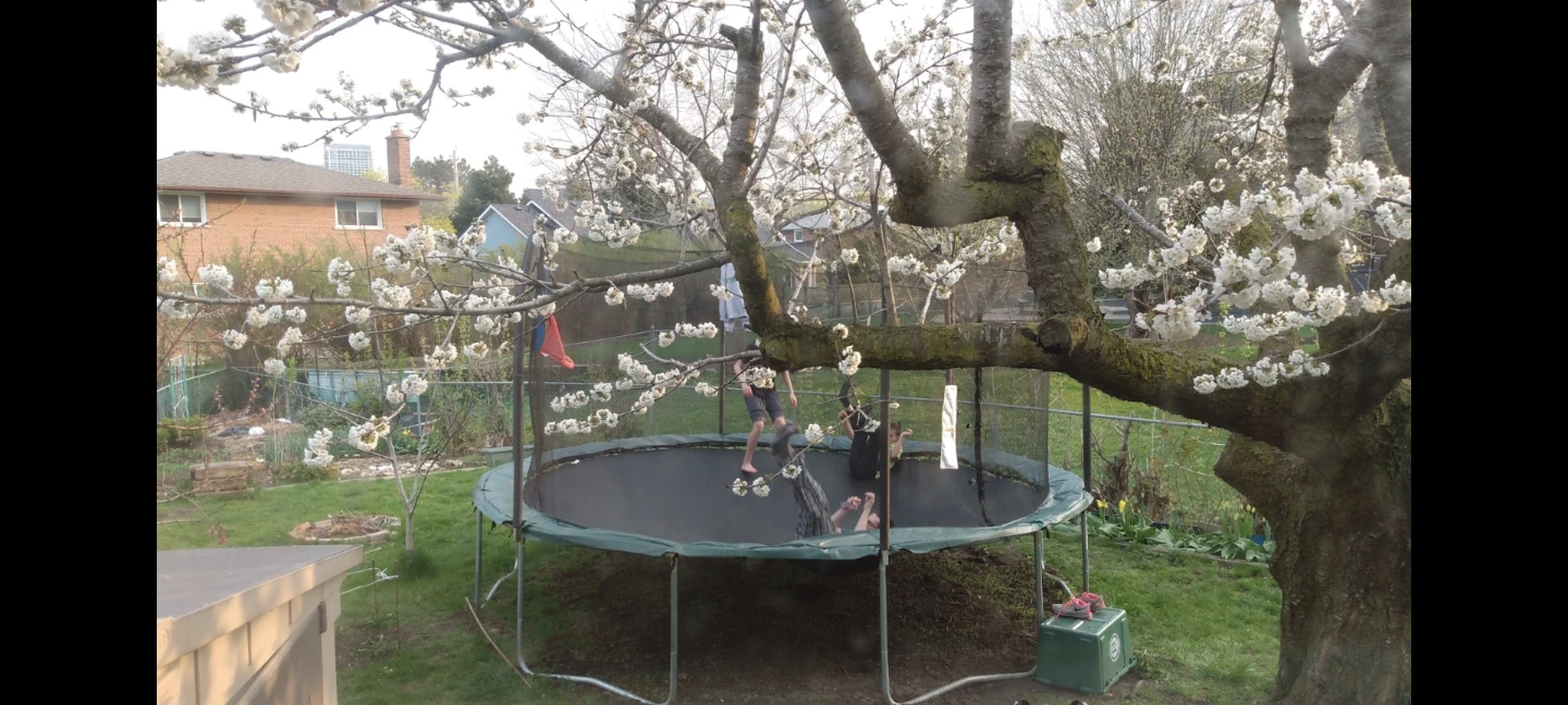 Extra Large15 feet Trampoline with Safety Net