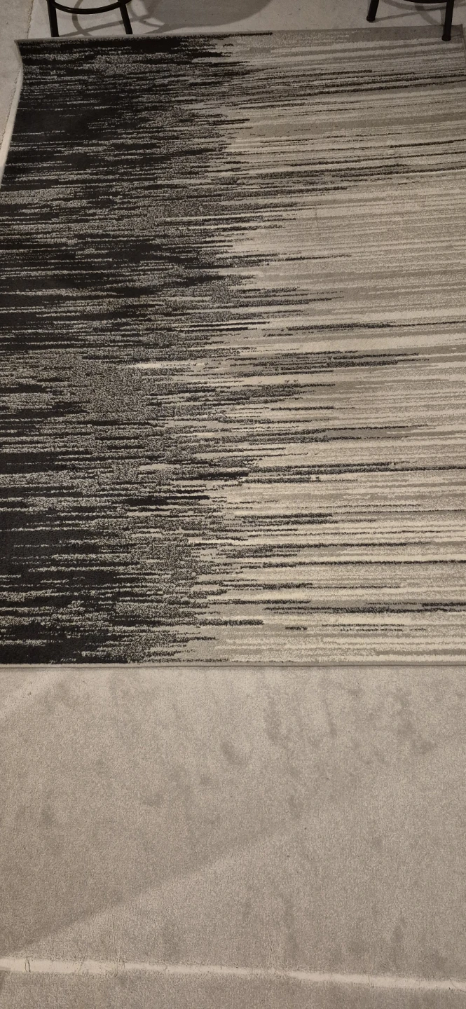 Area Rug - photo 2
