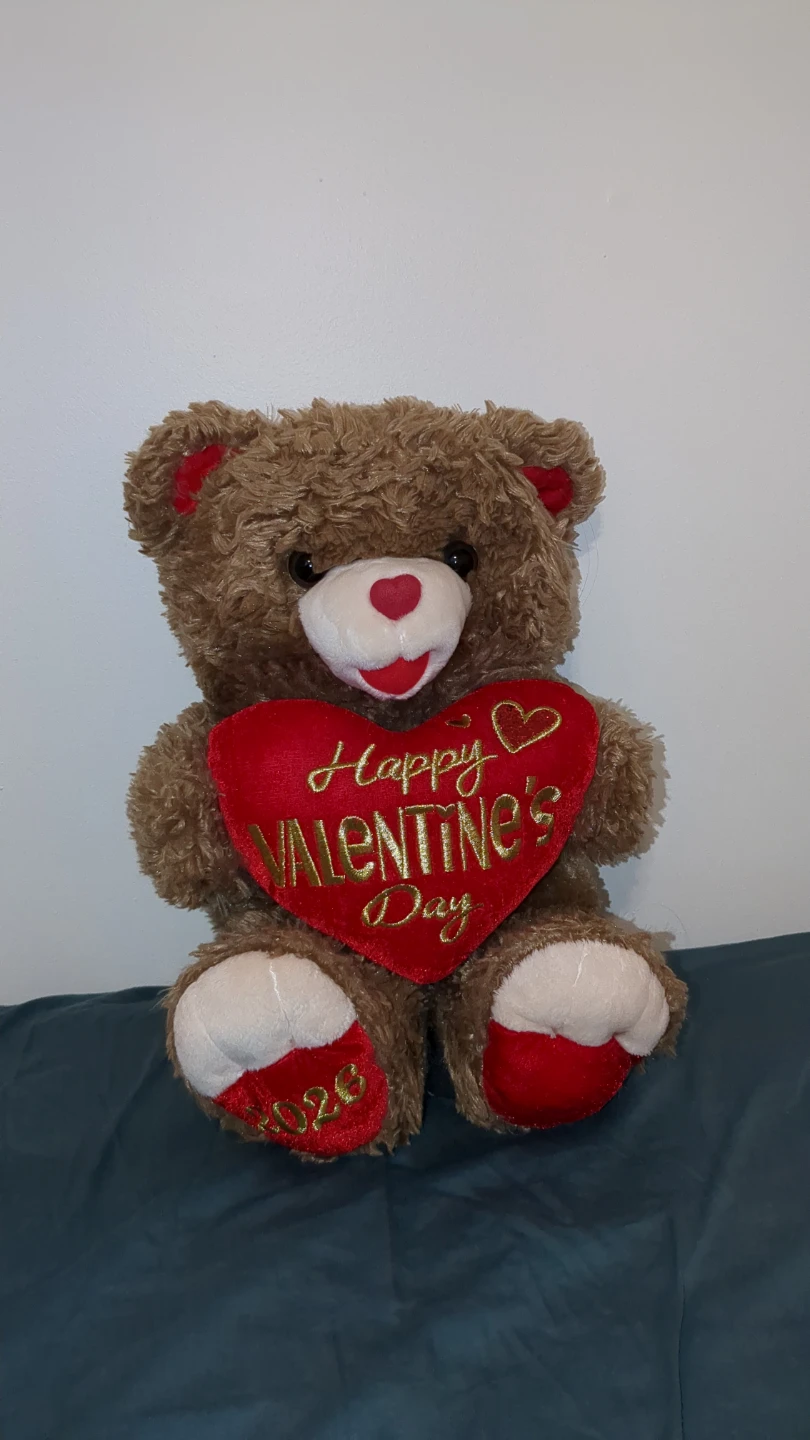 Valentine's Day Teddy Bear with Heart