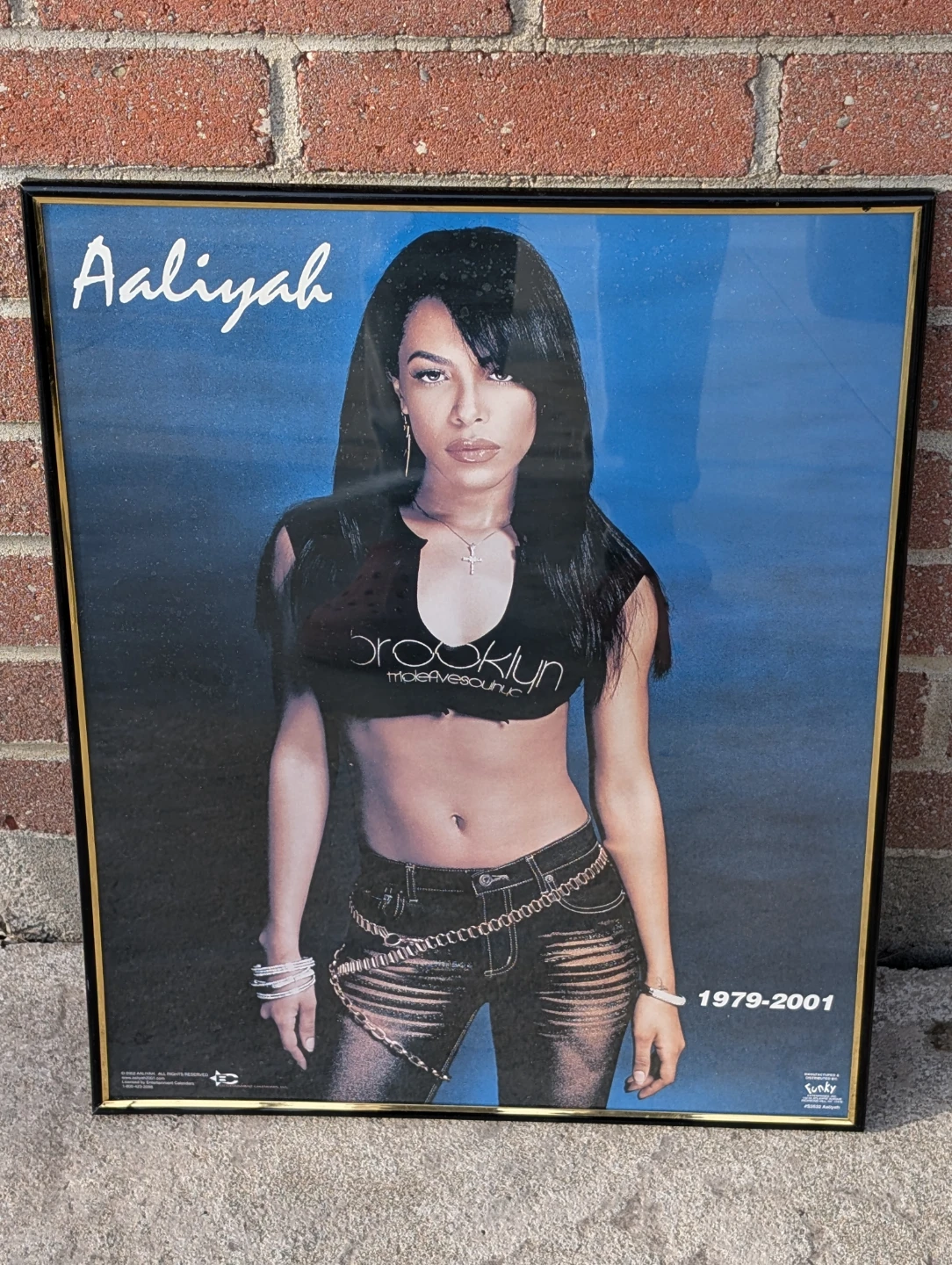 Aaliyah 1979-2001 Framed Poster