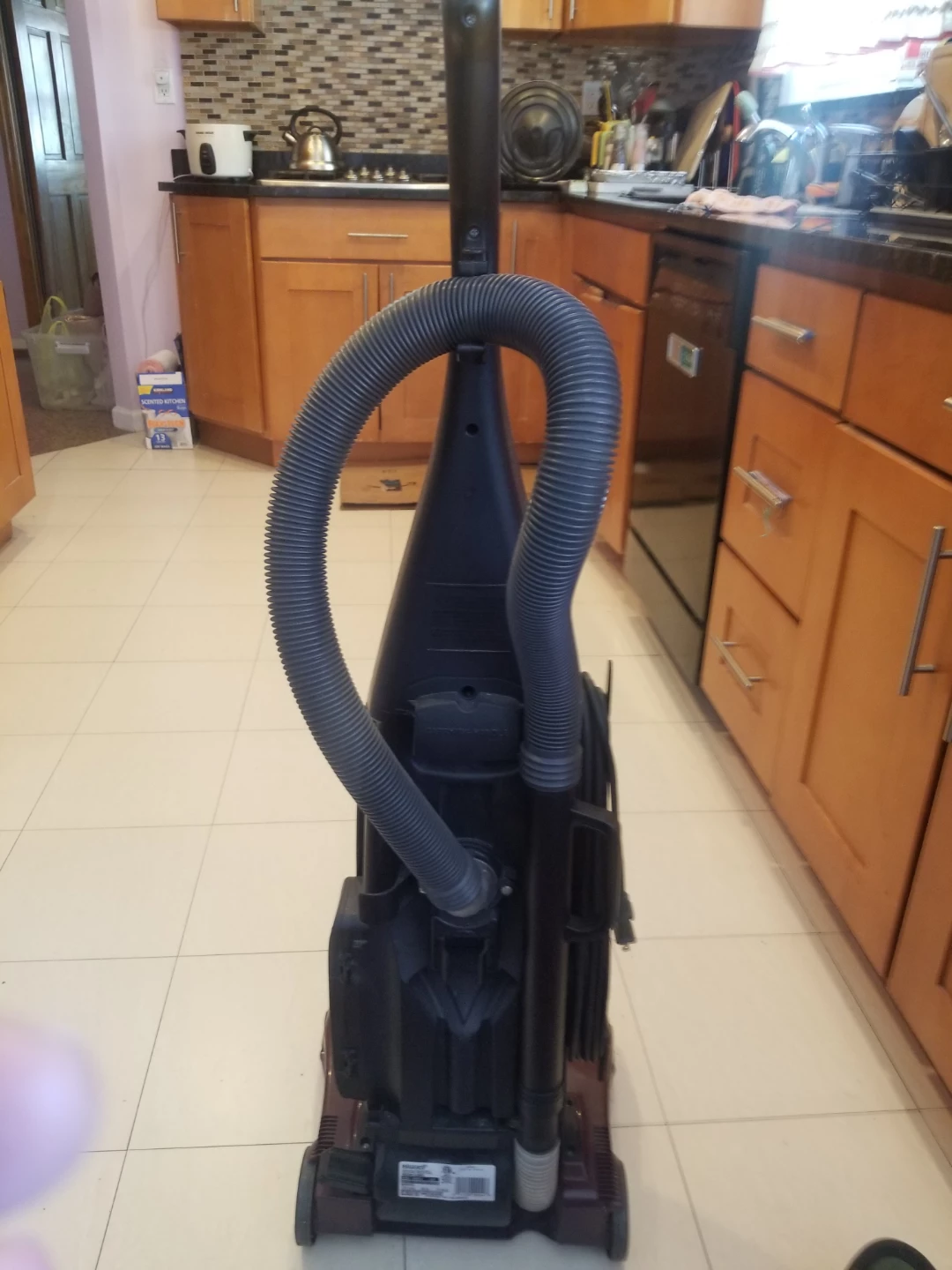 Bissell vacuum cleaner - photo 4