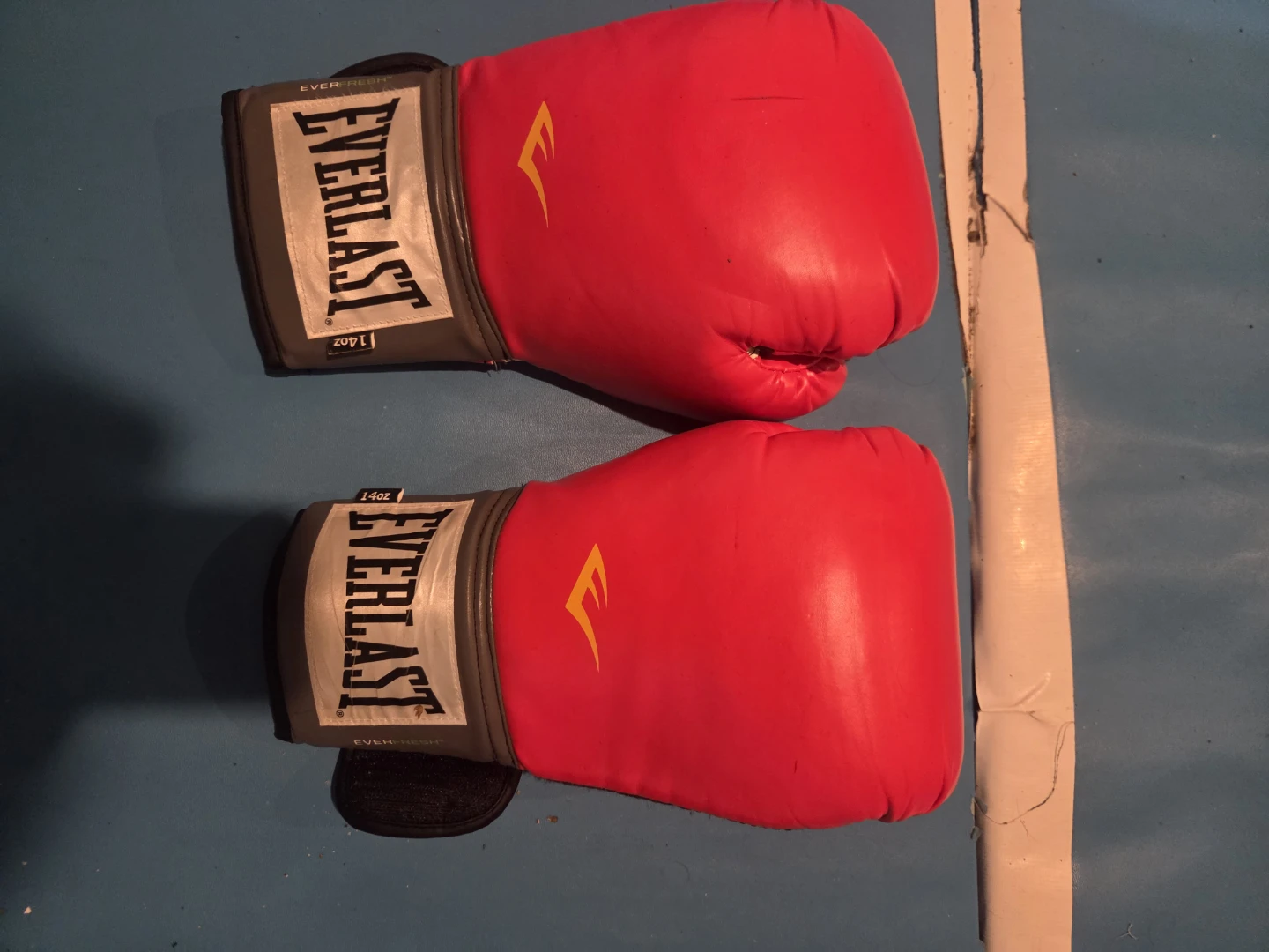 Everlast 14oz Boxing Gloves