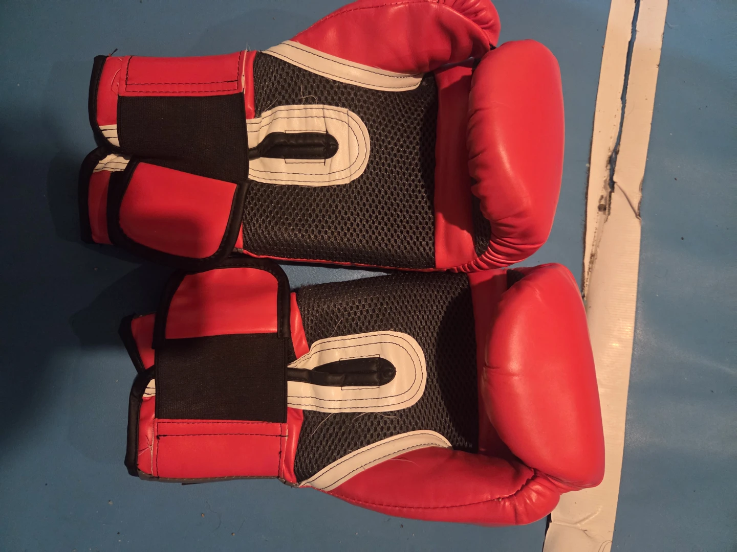 Everlast 14oz Boxing Gloves - photo 2