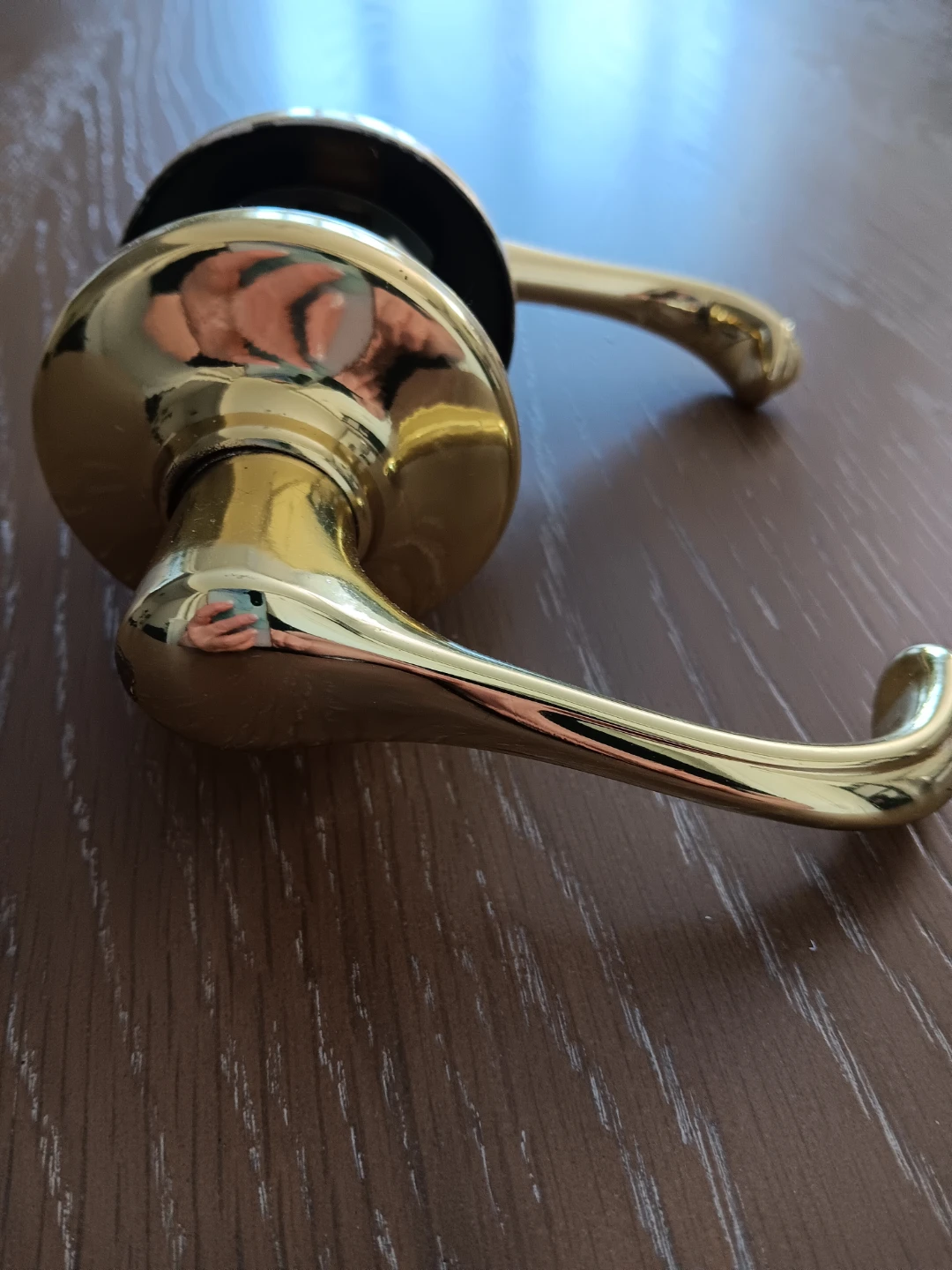 Polished Brass Hall/Closet Passage Interior Door Handle