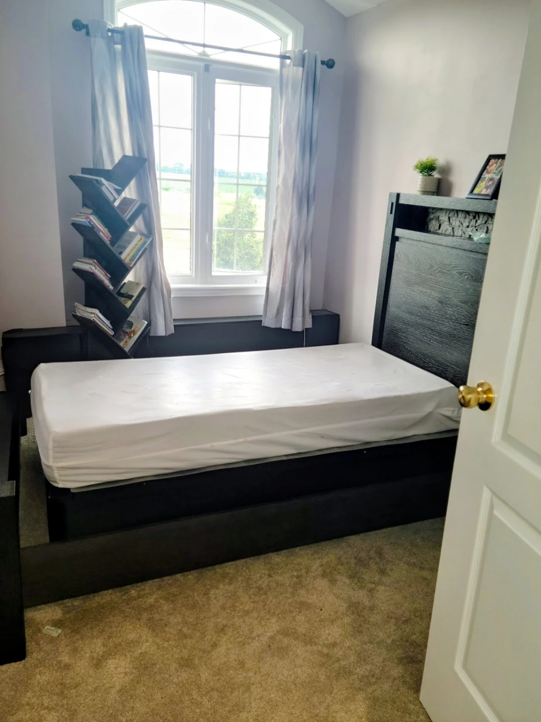 Queen Bed frame & Mattress