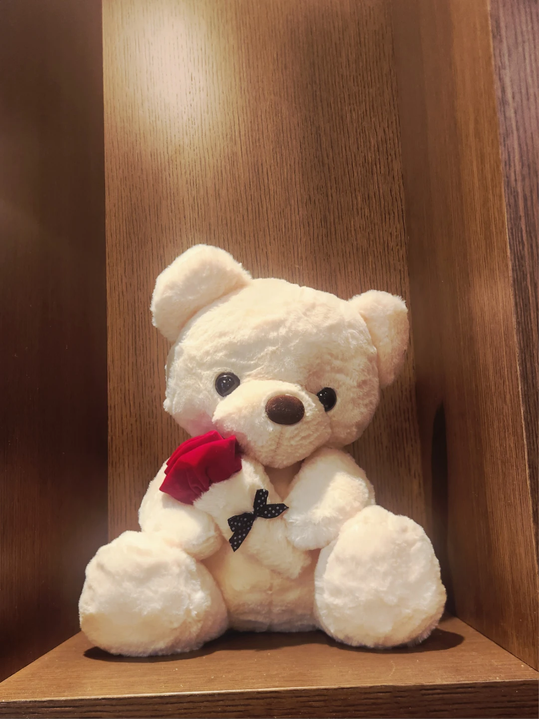 Cream Teddy Bear with Red Rose and Black Bow