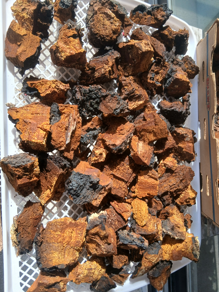 Chaga Mushroom Pieces